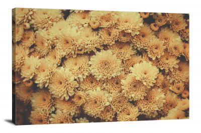 Fall Flower Chrysanthemum, 2019 - Canvas Wrap