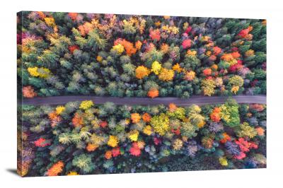 Aerial View of a Forest Road, 2016 - Canvas Wrap
