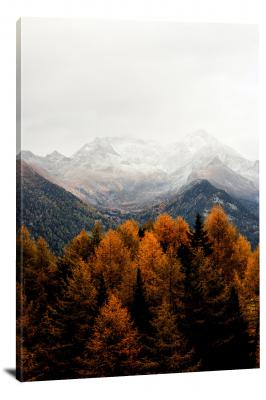 Contrasting Mountain Trees, 2017 - Canvas Wrap