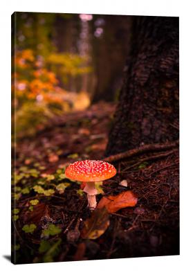 CW4082-fall-cute-red-mushroom-00