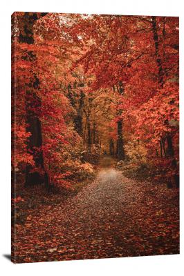 CW4083-fall-red-leaf-carpet-00
