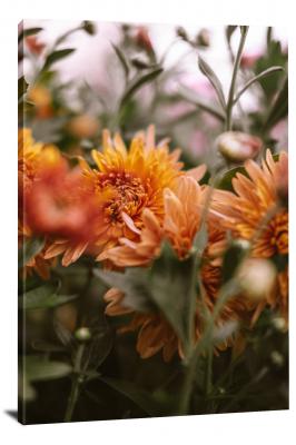 Orange Chrysanthemum, 2021 - Canvas Wrap