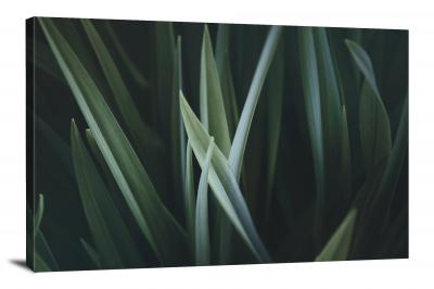 Grass Blade Closeup, 2017 - Canvas Wrap