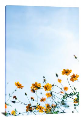 CW4016-spring-yellow-flowers-blue-sky-00