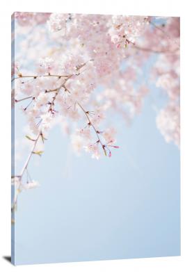 CW4017-spring-hatonomori-blossoms-00