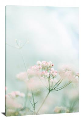 CW4019-spring-soft-pink-flower-00