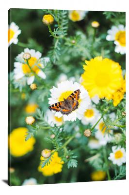 Butterfly on Flowers, 2020 - Canvas Wrap