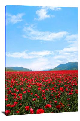 Field of Red Flowers, 2018 - Canvas Wrap