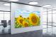 Ukraine Sunflowers, 2017 - Canvas Wrap1