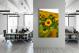 Sunflower Field, 2020 - Canvas Wrap1