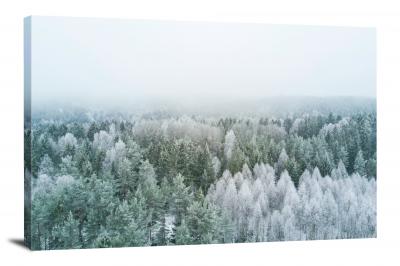 CW4091-winter-white-trees-00