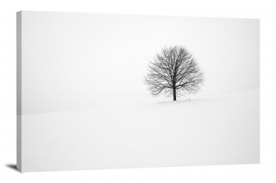 White Tree in White Field, 2018 - Canvas Wrap