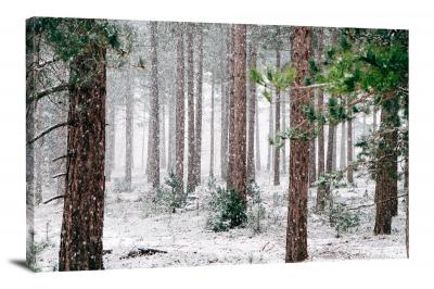 Snow Falling in Forest, 2015 - Canvas Wrap