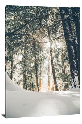 CW4106-winter-snow-powder-on-hemlock-trees-00