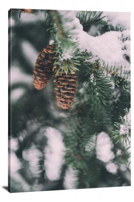 CW4109-winter-hanging-pine-cones-00