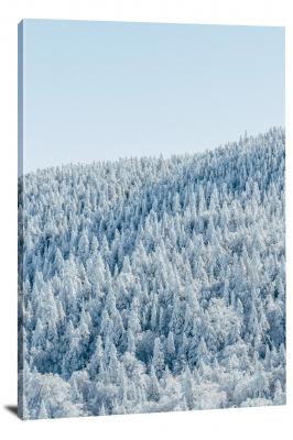 Frozen Trees, 2019 - Canvas Wrap