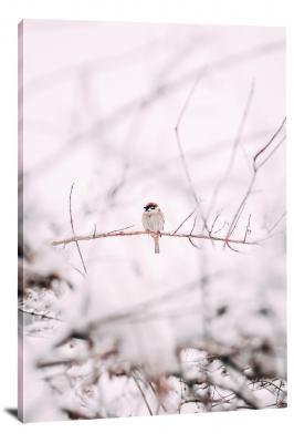 CW4112-winter-wintry-bird-on-frozen-branch-00