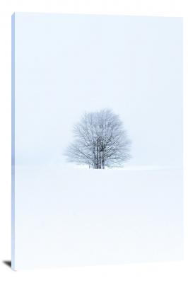 CW4113-winter-lone-white-tree-00
