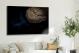 Rounded Asteroid, 2016 - Canvas Wrap3