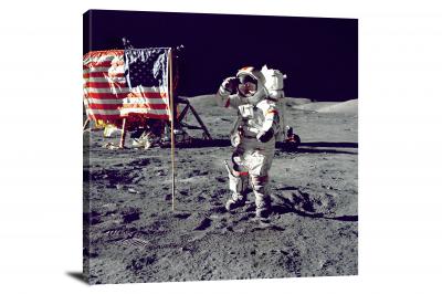CW2325-astronaut-and-us-flag-00