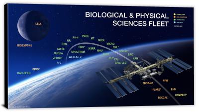 CWB319-charts-biological-and-physical-sciences-fleet-00