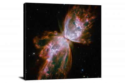 CW2010-butterfly-in-nebula-ngc-6302-00