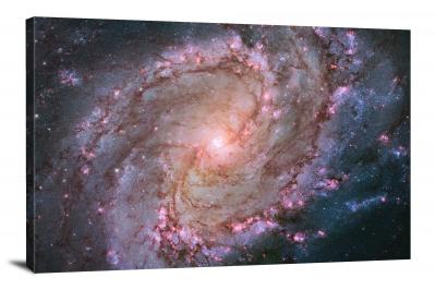 CW2039-spiral-galaxy-m83-00