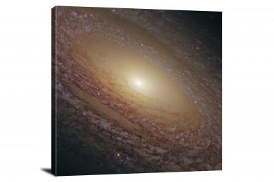 CW2040-spiral-galaxy-ngc-2841-00