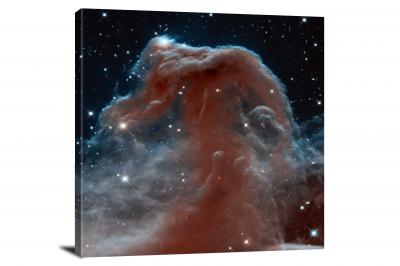 CW2056-horsehead-of-a-different-color-00