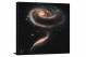 A Rose Made of Galaxies, 2011 - Canvas Wrap