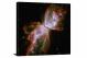 Butterfly in Nebula NGC 6302, 2009 - Canvas Wrap