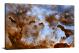 Ice Sculptures in the Carina Nebula, 2010 - Canvas Wrap4