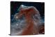 Horsehead of a Different Color, 2013 - Canvas Wrap