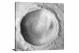Garni Crater Monochrome,  - Canvas Wrap