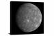 Mercury Craters, 2012 - Canvas Wrap