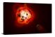 Cepheid Variable Star RS Puppis, 2013 - Canvas Wrap
