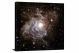 Star-forming Region IC 348 Around Protostar LRLL 54361, 2013 - Canvas Wrap