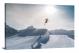 Skiing, 2020 - Canvas Wrap