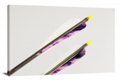 Arrows Feather, 2015 - Canvas Wrap