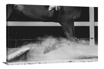 B&W Horse Kicking Up Dust, 2020 - Canvas Wrap