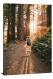 Wooden Path Hike, 2018 - Canvas Wrap