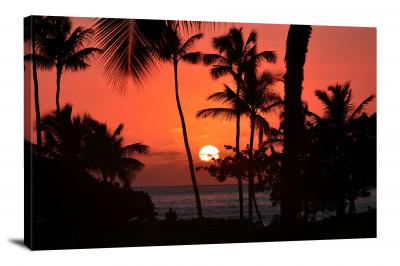 CW5014-sunsets-sun-set-among-the-palms-00