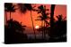 Sun Set Among the Palms, 2020 - Canvas Wrap