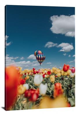 Tulip Festival and Balloons, 2018 - Canvas Wrap