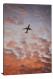 Flying Amongst Orange Clouds, 2019 - Canvas Wrap