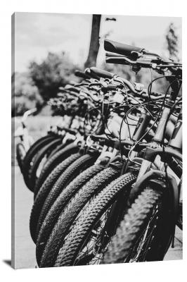 CW6045-bicycle-b_w-line-of-bikes-00