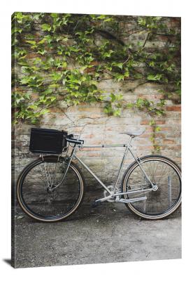 CW6049-bicycle-ivy-and-bikes-00