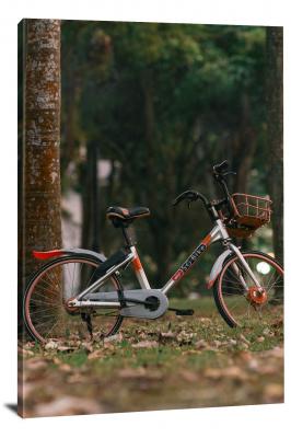CW6050-bicycle-bicycle-in-the-park-00