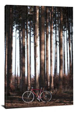 Bike Against Trees, 2020 - Canvas Wrap