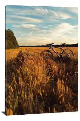 Bike in a Wheat Field, 2020 - Canvas Wrap
